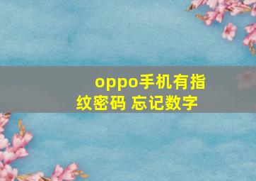 oppo手机有指纹密码 忘记数字